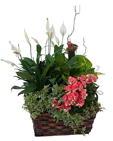 Florist Glen Rock NJ Flower Delivery in Glen Rock, New Jersey