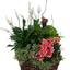 Florist Glen Rock NJ - Flower Delivery in Glen Rock, New Jersey