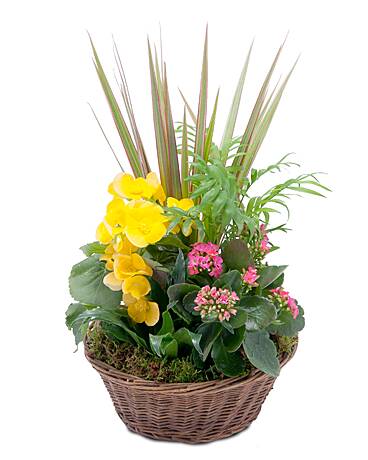 Flower Delivery in Glen Rock NJ Flower Delivery in Glen Rock, New Jersey