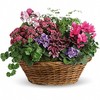 Send Flowers Glen Rock NJ - Flower Delivery in Glen Roc...