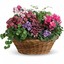Send Flowers Glen Rock NJ - Flower Delivery in Glen Rock, New Jersey