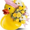 New Baby Flowers Oklahoma C... - Flower Delivery in Oklahoma...