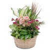 Flower Delivery in Vancouve... - Flowers delivery in Vancouv...
