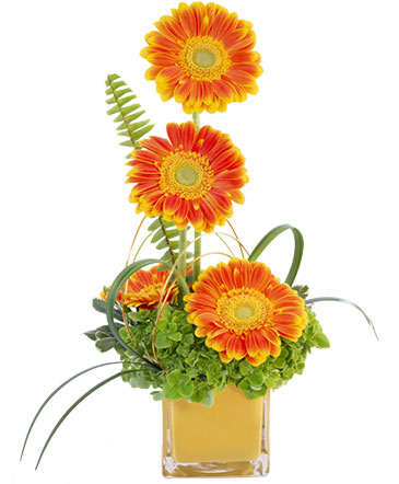Same Day Flower Delivery Moore OK Flower Delivery in Moore Oklahoma