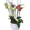 Flower Shop Grand Rapids MI - Flower Delivery in Grand Ra...