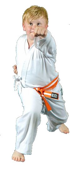 Karate Lessons York Picture Box