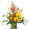 Order Flowers Dansville NY - Flower Delivery in Dansvill...
