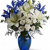 Sympathy Flowers Dansville NY - Flower Delivery in Dansvill...