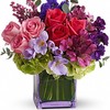 Flower Delivery Houston TX - Flower Delivery in Houston,TX