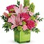 Florist Houston TX - Flower Delivery in Houston,TX