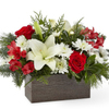 Christmas Flowers Grandvill... - Flower Delivery in Grandvil...