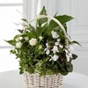 Next Day Delivery Flowers G... - Flower Delivery in Grandvil...