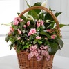 Order Flowers Grandville MI - Flower Delivery in Grandvil...