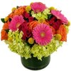 Florist Sudbury MA - Flower delivery in Sudbury,...