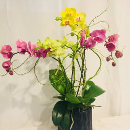 Fresh Flower Delivery Tustin CA Flower Delivery in Casselman ON