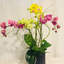 Fresh Flower Delivery Tusti... - Flower Delivery in Casselman ON