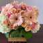 Next Day Delivery Flowers T... - Flower Delivery in Casselman ON
