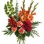 Send Flowers Oklahoma City OK - Flower Delivery in Oklahoma City,OK