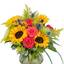 Thanksgiving Flowers Jackso... - Flowers delivery in Jackson,Mississippi