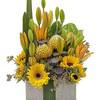 Florist Crystal River FL - Flower Delivery in Crystal ...