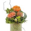 Flower Delivery in Crystal ... - Flower Delivery in Crystal ...