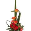 Flower Shop in Crystal Rive... - Flower Delivery in Crystal ...
