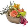 Fresh Flower Delivery Cryst... - Flower Delivery in Crystal ...