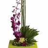 Send Flowers Crystal River FL - Flower Delivery in Crystal ...
