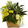 Florist Monrovia CA - Flower Delivery in Monrovia