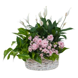 Order Flowers Monrovia CA Flower Delivery in Monrovia