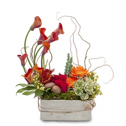 Same Day Flower Delivery Monrovia CA Flower Delivery in Monrovia