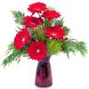 Christmas Flowers Spring TX - Flowers delivery in Spring,...