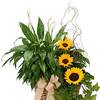 Flower Shop Brentwood TN - Flower Delivery in Brentwood