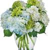 Funeral Flowers Brentwood TN - Flower Delivery in Brentwood