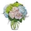 Wedding Flowers Bergenfield NJ - Flower Delivery in Bergenfield