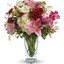 Buy Flowers Milwaukee WI - Flower Delivery in Saint Louis