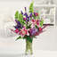 Next Day Delivery Flowers S... - Flower Delivery in Saint Louis