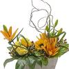 Flower Delivery in Oklahoma... - Flower Delivery in Oklahoma...