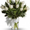 Funeral Flowers Chandler AZ - Flower Delivery in Chandler