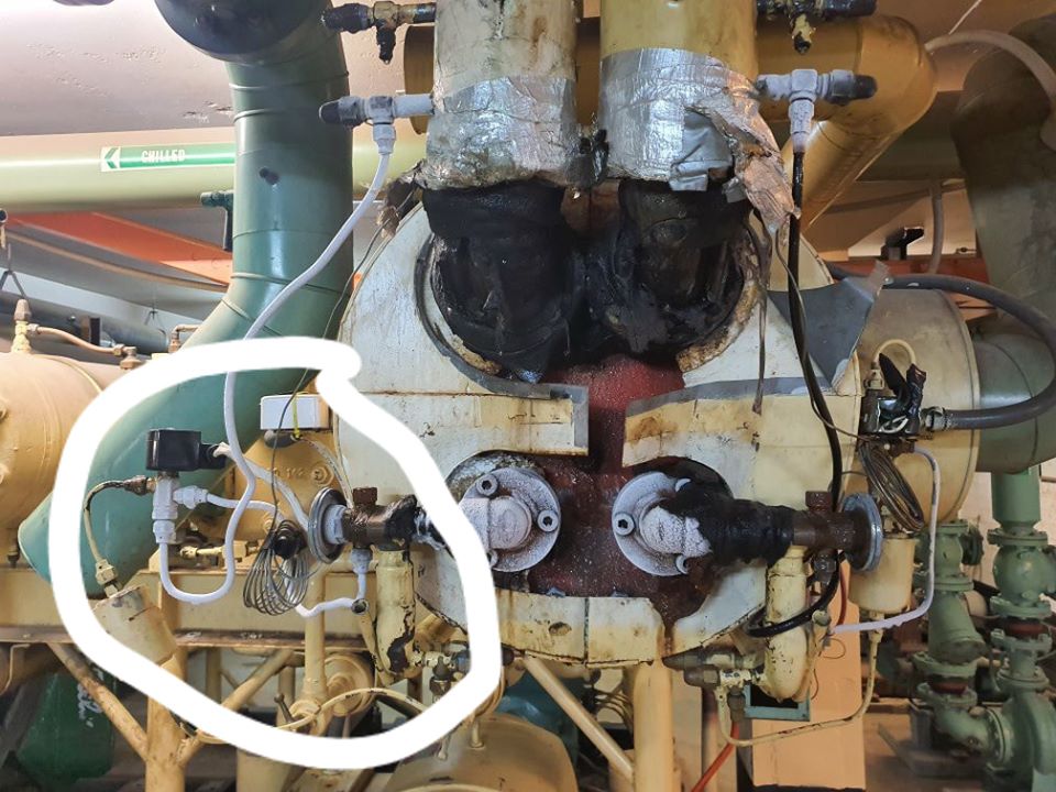 83513098 10156692449604147 6333464847488909312 o - 