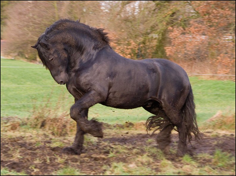 6 - karate kid wessel