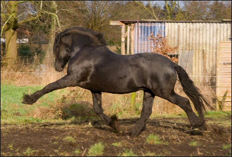 40 - karate kid wessel