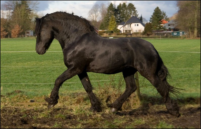 42 - karate kid wessel