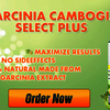Laventrix Garcinia Price - Picture Box