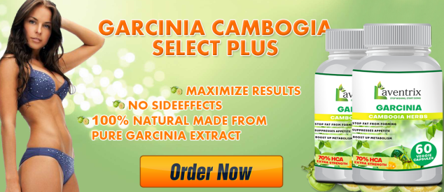 Laventrix Garcinia Price Picture Box