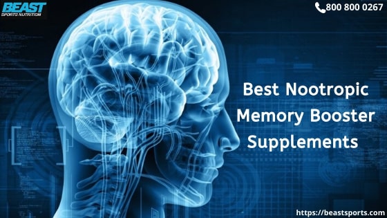 Best Nootropics Enchancement Supplements For Memor Best Nootropics Enchancement Supplements For Memory