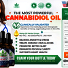 How We the People CBD Oil Works to Relief Pain?