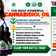 We-The-People-CBD-Oil-Order - How We the People CBD Oil Works to Relief Pain?