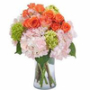 Flower Delivery in Tampa FL - Flower Delivery in Tampa, FL