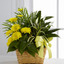 Flower Shop in Tampa FL - Flower Delivery in Tampa, FL